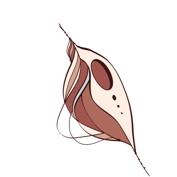 arestorativecocoon.com